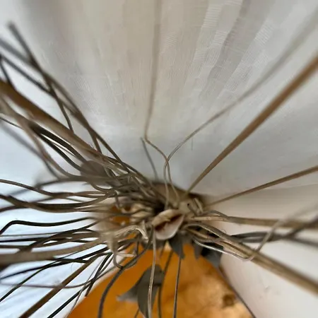 Centro Peatonal 5 Con Balcon Διαμέρισμα