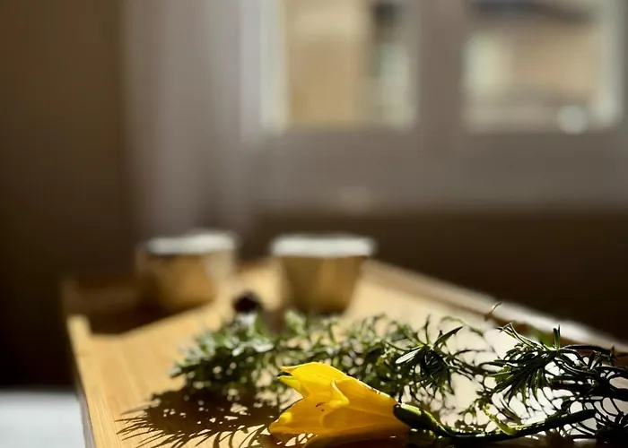 Apartman Centro Peatonal 5 Con Balcon *