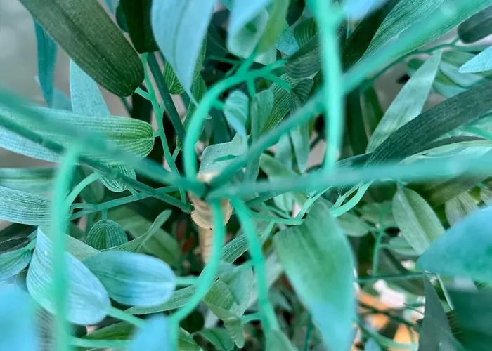 Centro Peatonal 5 Con Balcon Apartman Vigo