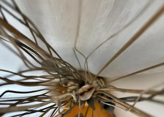 Centro Peatonal 5 Con Balcon Apartman